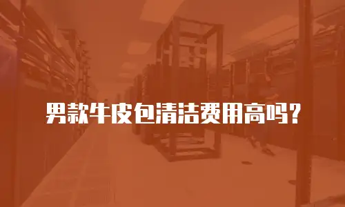 男款牛皮包清洁费用高吗？