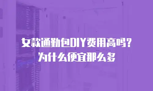 女款通勤包DIY费用高吗？为什么便宜那么多