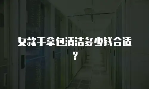 女款手拿包清洁多少钱合适？