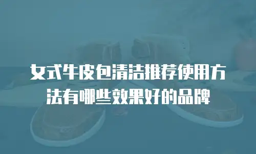 女式牛皮包清洁推荐使用方法有哪些效果好的品牌