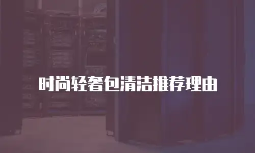时尚轻奢包清洁推荐理由