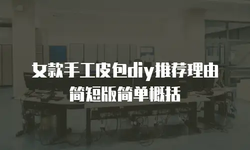 女款手工皮包diy推荐理由简短版简单概括