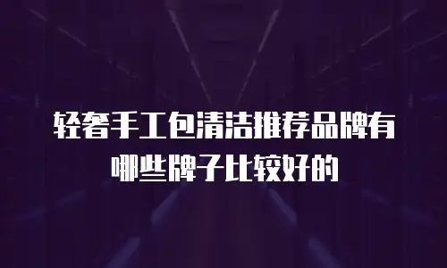 轻奢手工包清洁推荐品牌有哪些牌子比较好的