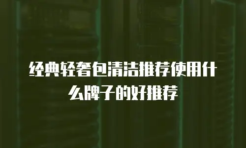 经典轻奢包清洁推荐使用什么牌子的好推荐