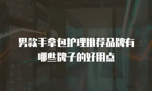 男款手拿包护理推荐品牌有哪些牌子的好用点