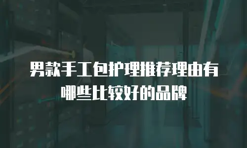 男款手工包护理推荐理由有哪些比较好的品牌