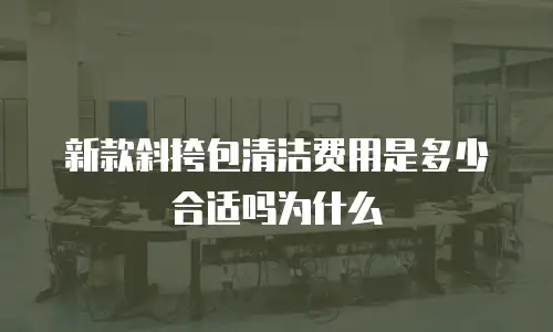 新款斜挎包清洁费用是多少合适吗为什么