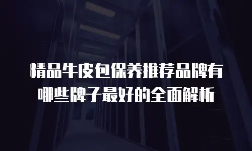 精品牛皮包保养推荐品牌有哪些牌子最好的全面解析