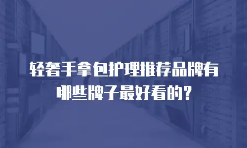 轻奢手拿包护理推荐品牌有哪些牌子最好看的？