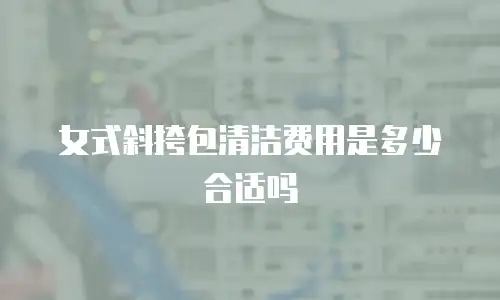 女式斜挎包清洁费用是多少合适吗