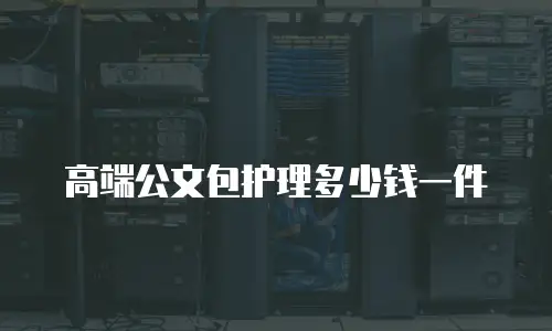 高端公文包护理多少钱一件