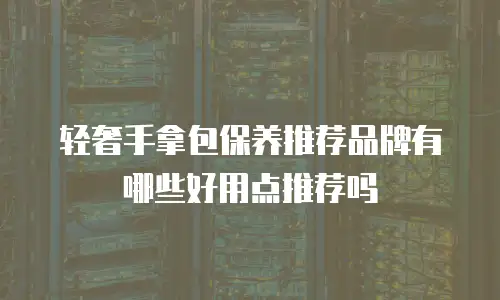 轻奢手拿包保养推荐品牌有哪些好用点推荐吗
