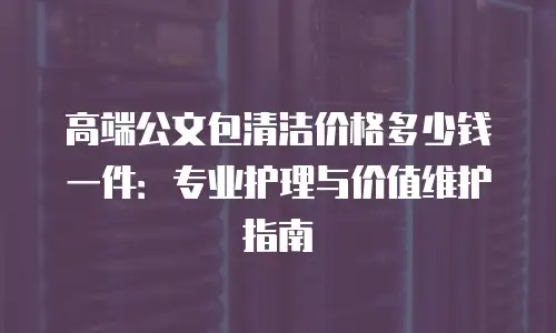 高端公文包清洁价格多少钱一件：专业护理与价值维护指南