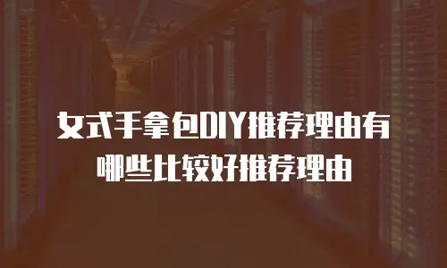女式手拿包DIY推荐理由有哪些比较好推荐理由