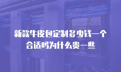 新款牛皮包定制多少钱一个合适吗为什么贵一些