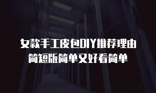 女款手工皮包DIY推荐理由简短版简单又好看简单
