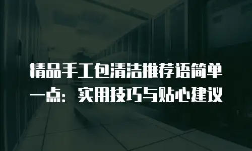 精品手工包清洁推荐语简单一点：实用技巧与贴心建议