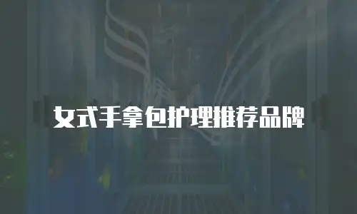女式手拿包护理推荐品牌