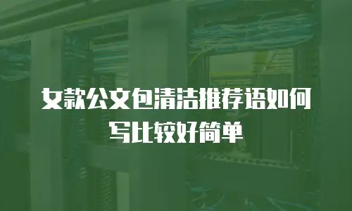 女款公文包清洁推荐语如何写比较好简单