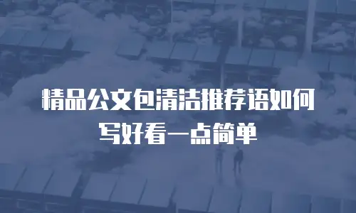 精品公文包清洁推荐语如何写好看一点简单