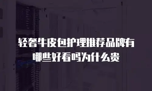 轻奢牛皮包护理推荐品牌有哪些好看吗为什么贵