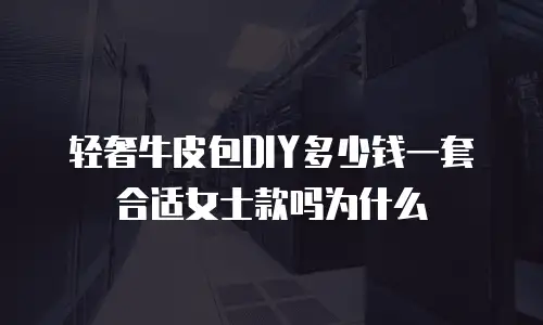 轻奢牛皮包DIY多少钱一套合适女士款吗为什么