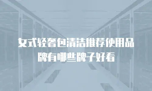 女式轻奢包清洁推荐使用品牌有哪些牌子好看