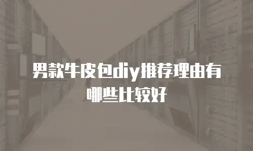 男款牛皮包diy推荐理由有哪些比较好
