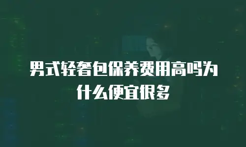 男式轻奢包保养费用高吗为什么便宜很多