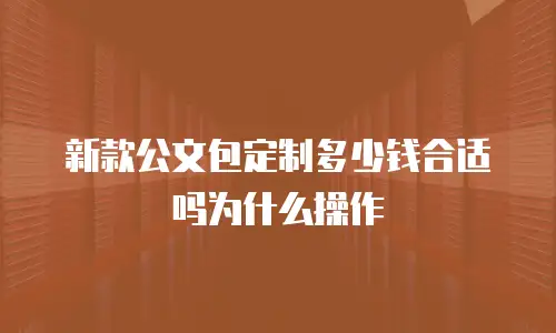 新款公文包定制多少钱合适吗为什么操作