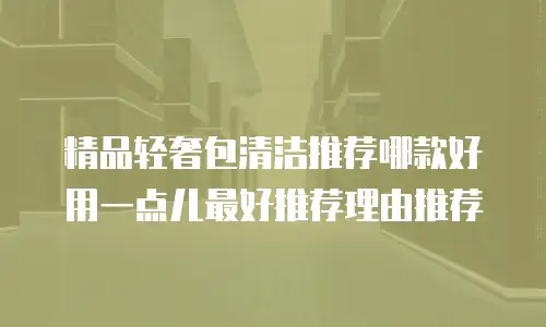 精品轻奢包清洁推荐哪款好用一点儿最好推荐理由推荐