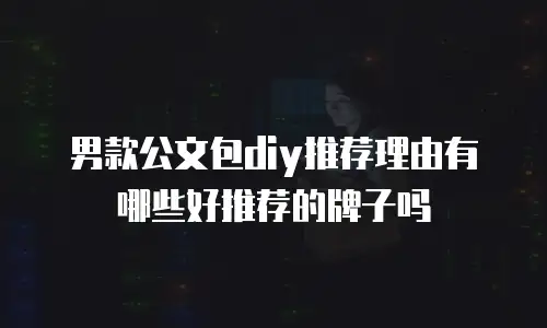 男款公文包diy推荐理由有哪些好推荐的牌子吗