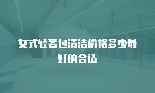 女式轻奢包清洁价格多少最好的合适