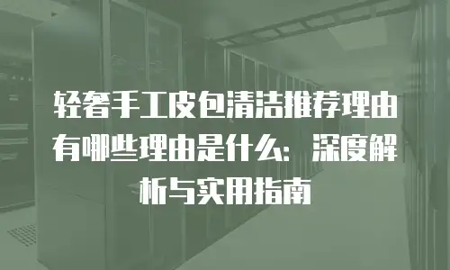 轻奢手工皮包清洁推荐理由有哪些理由是什么：深度解析与实用指南