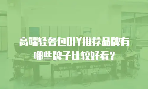 高端轻奢包DIY推荐品牌有哪些牌子比较好看？