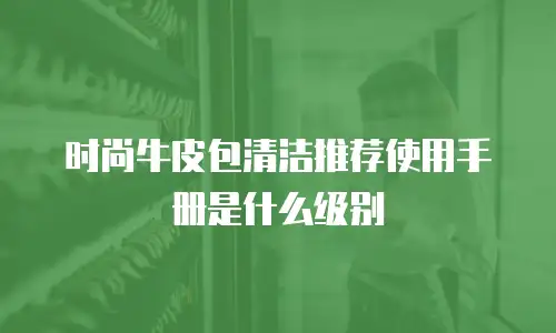 时尚牛皮包清洁推荐使用手册是什么级别