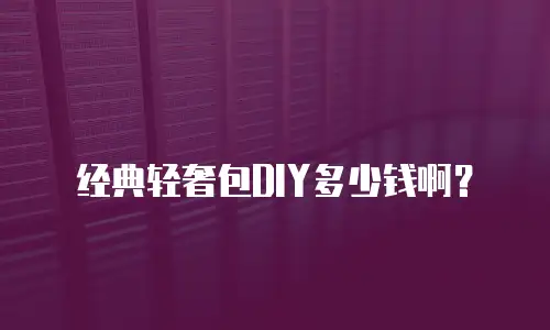 经典轻奢包DIY多少钱啊？