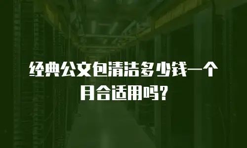 经典公文包清洁多少钱一个月合适用吗？