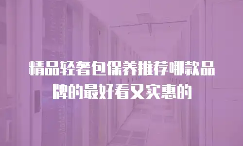 精品轻奢包保养推荐哪款品牌的最好看又实惠的