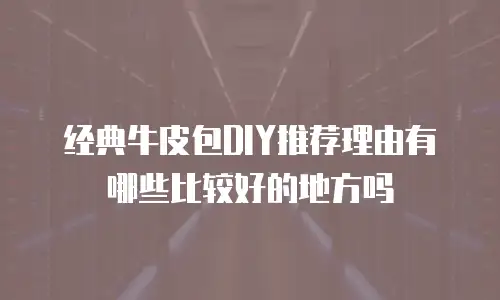 经典牛皮包DIY推荐理由有哪些比较好的地方吗