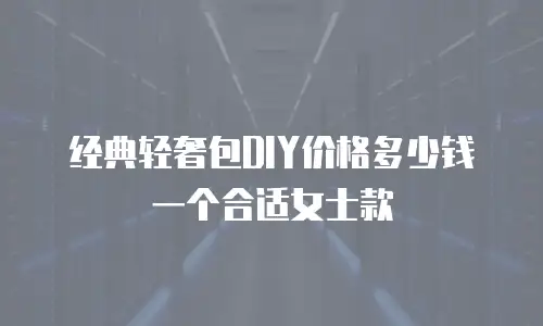 经典轻奢包DIY价格多少钱一个合适女士款