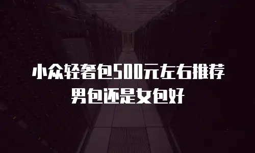 小众轻奢包500元左右推荐男包还是女包好