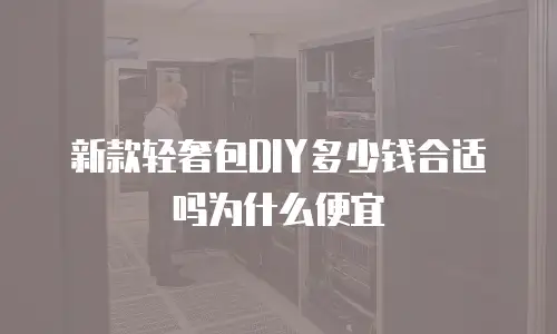 新款轻奢包DIY多少钱合适吗为什么便宜