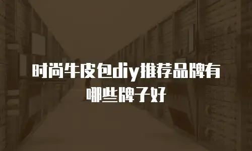 时尚牛皮包diy推荐品牌有哪些牌子好