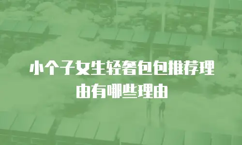 小个子女生轻奢包包推荐理由有哪些理由