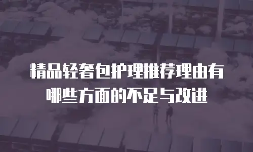 精品轻奢包护理推荐理由有哪些方面的不足与改进