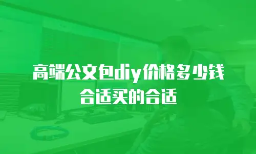 高端公文包diy价格多少钱合适买的合适