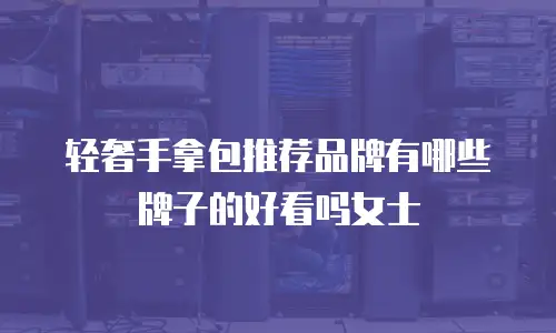 轻奢手拿包推荐品牌有哪些牌子的好看吗女士