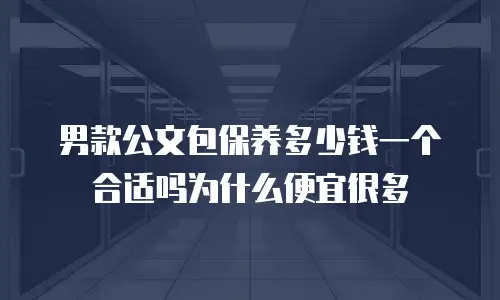 男款公文包保养多少钱一个合适吗为什么便宜很多