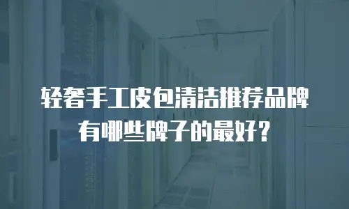 轻奢手工皮包清洁推荐品牌有哪些牌子的最好？